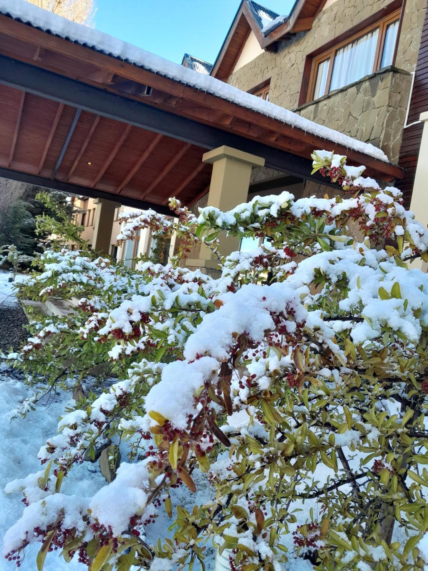 אל קלפטה Rochester Calafate מראה חיצוני תמונה